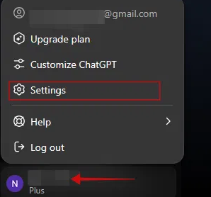 ChatGPT Settings